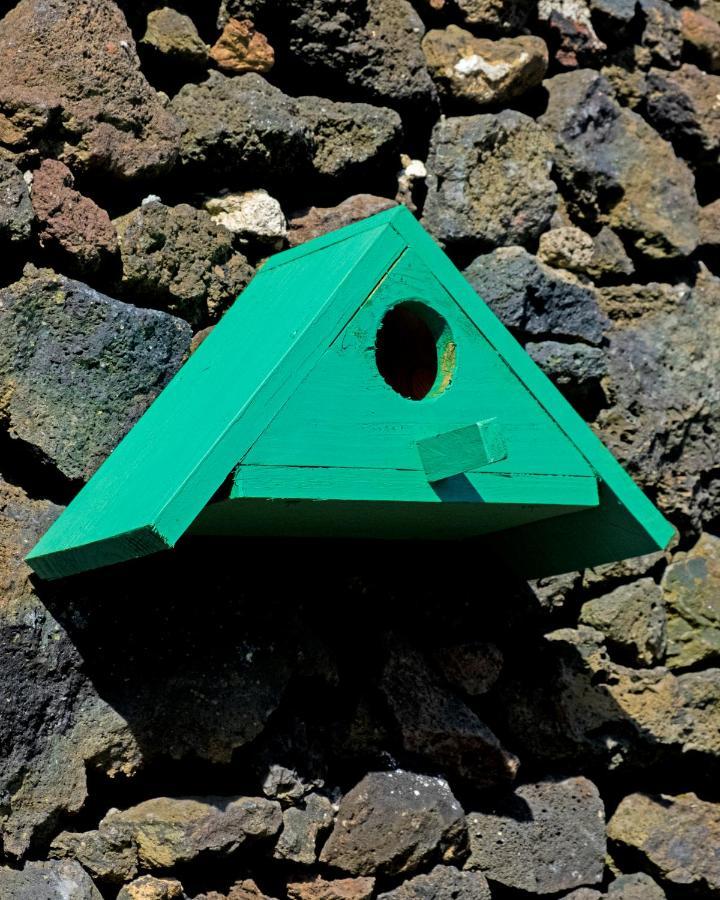 Parrots'Village Rabo de Peixe المظهر الخارجي الصورة