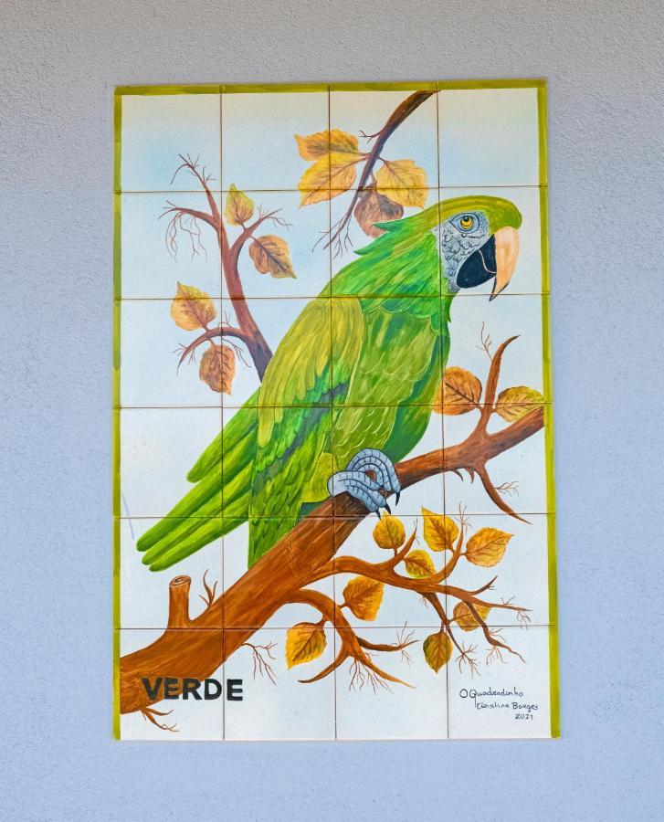 Parrots'Village Rabo de Peixe المظهر الخارجي الصورة