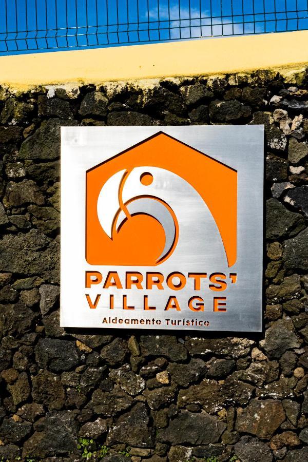 Parrots'Village Rabo de Peixe المظهر الخارجي الصورة