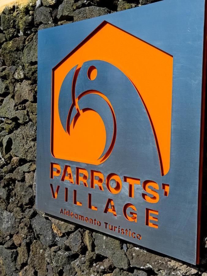 Parrots'Village Rabo de Peixe المظهر الخارجي الصورة