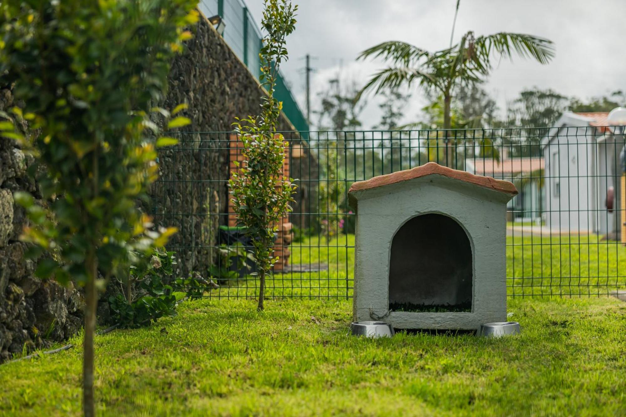 Parrots'Village Rabo de Peixe المظهر الخارجي الصورة